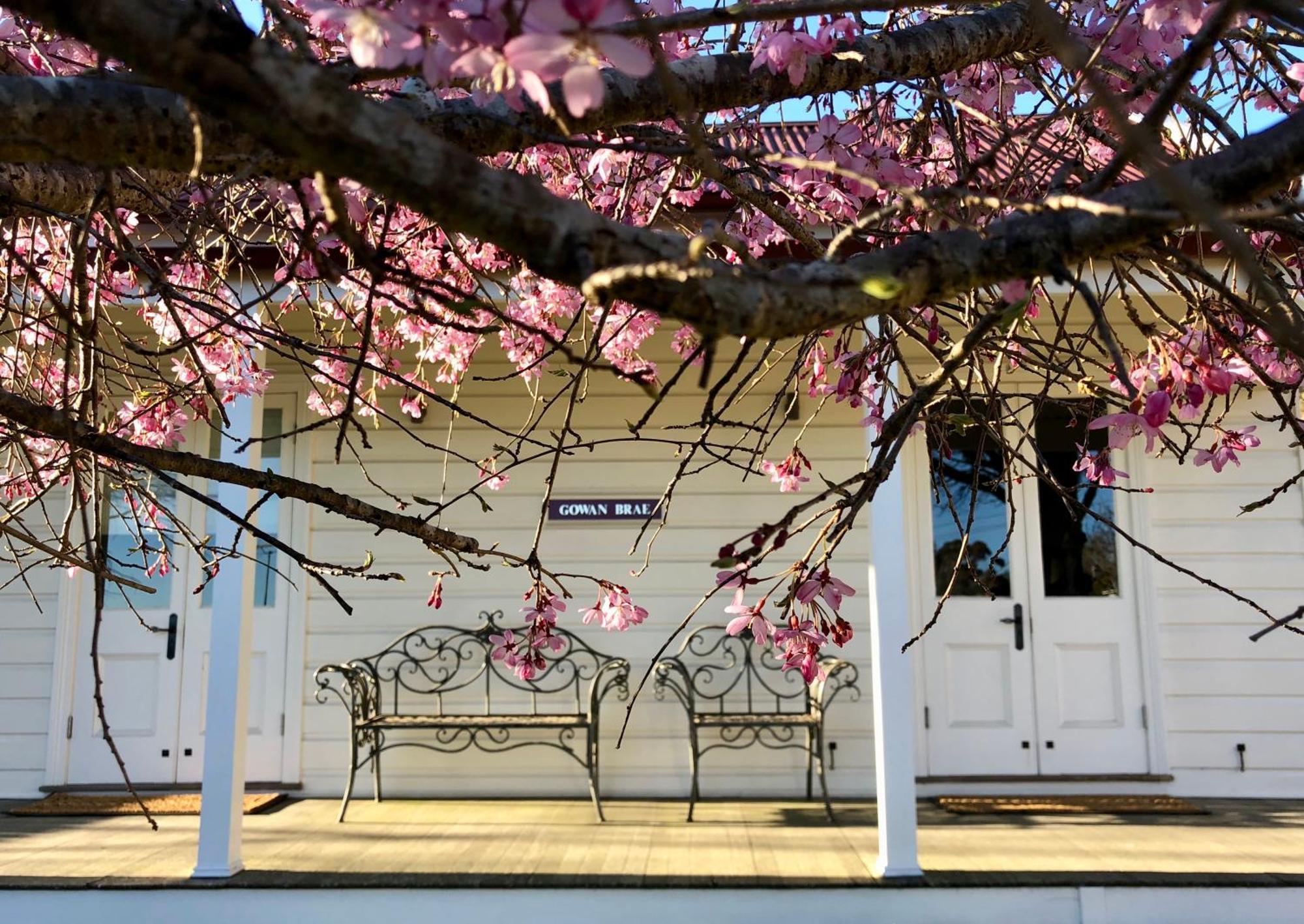 Gowan Brae Cottage カトゥーンバ エクステリア 写真